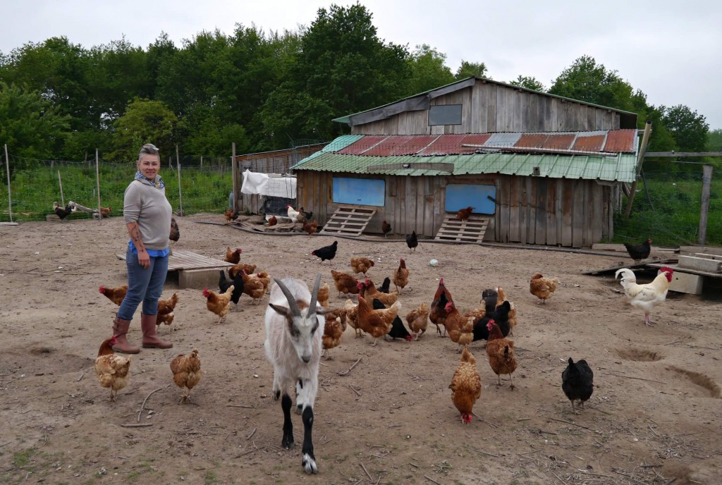 Cultivactrices émilie éleveuse De Poules Bio Et Plein Air